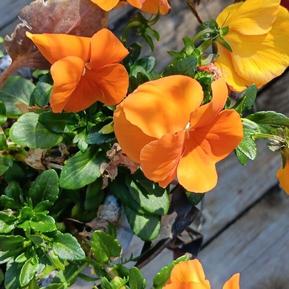 B. SMART Dress - Picture 13 of 13